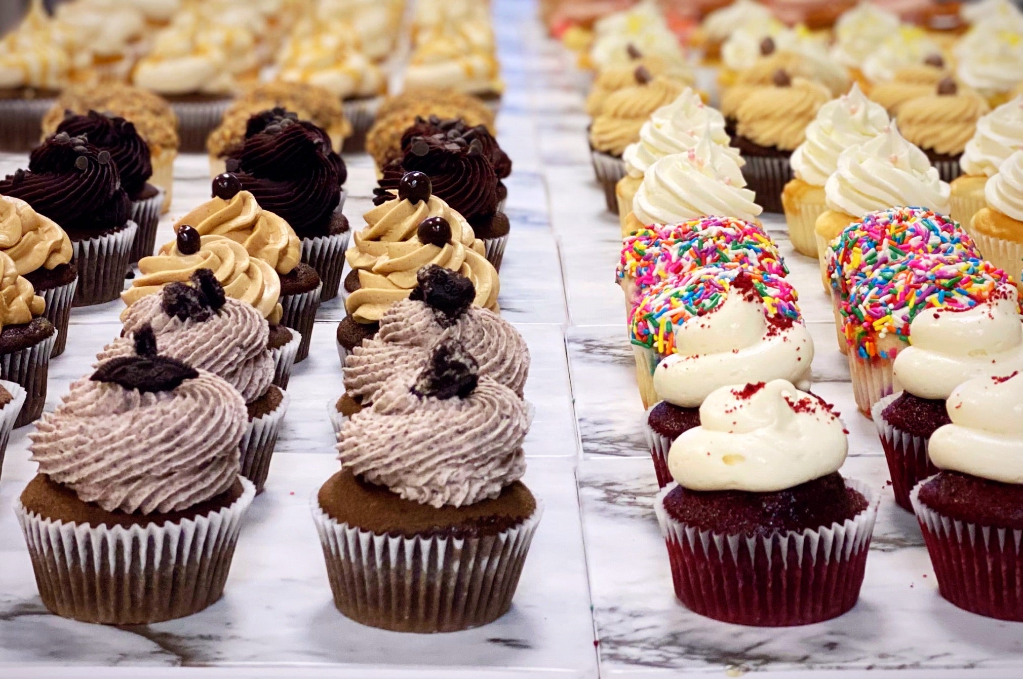 Cupcakes 12-Pack